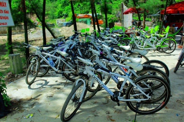Hình ảnh: dịch vụ cho thuê xe đạp đôi trên đảo Cô Tô
